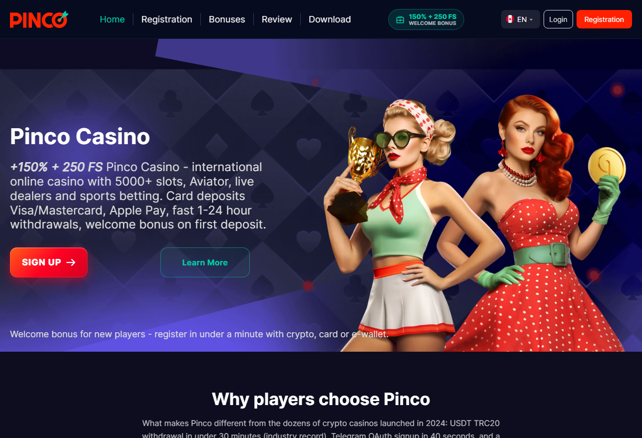 Pinco overview catalogue and account controls on Pinco Studio