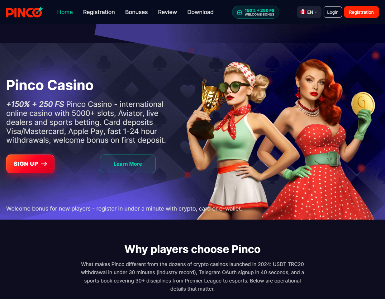 Pinco Studio responsive Pinco product interface for overview